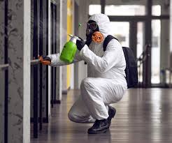 Woodville, OH Mold Removal & Remediation Company